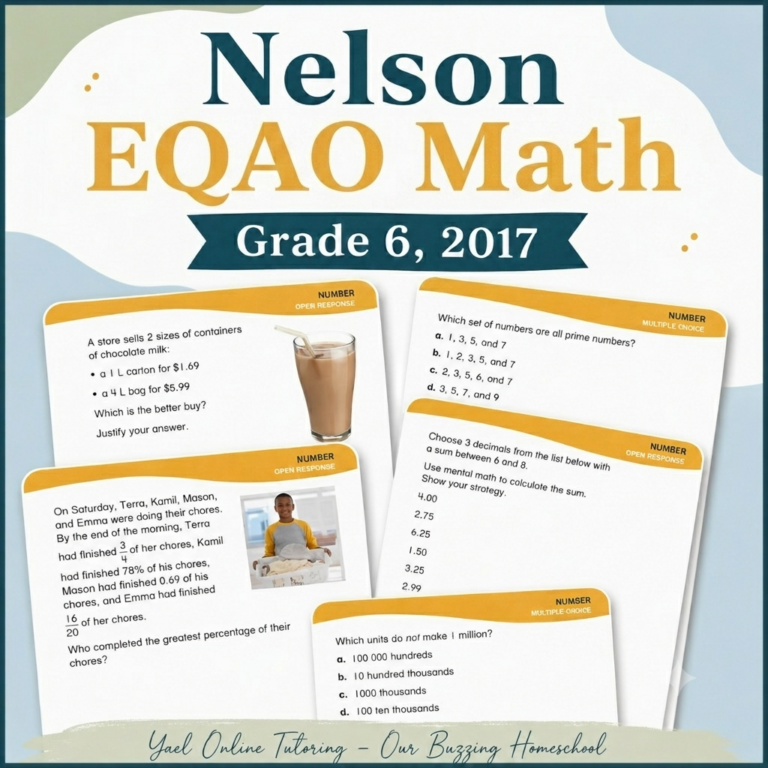 Карточки Nelson EQAO Math Grade 6 2017 для подготовки к тестированию EQAO по математике в Онтарио