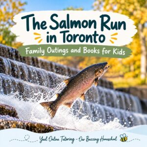 Salmon jumping upstream over rapids in autumn, illustrating the salmon run in Toronto and family nature outings.